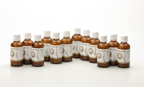 Schüssler Salze 12er Set Globuli Nr. 1-12, 12x50 g