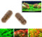 KOFUN - Fertilizante para plantas acuáticas, raíces, fertilizante condensado para acuario, 40 unidades.
