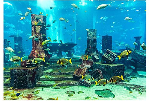 Zerodis Aquarium Underwater Coral Background Sticker, Fish Tank Wall Decorations Sticker Decor Paper ling Decals Sticker PVC Easy to Install(122 * 46cm)