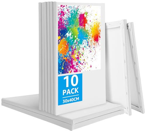 JMIATRY 10 Piezas Lienzos 30x40CM, Lienzos Para Pintar, Lienzos Preestirados, Lienzos Para Pintar Pintura Al Óleo, Acrílica, Artistas, Principiantes
