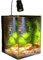 Aquariums Ultra White Glass Aquarium Desktop Living Room Office Desk Fighting Fish Tank, 15×15×20cm Fish Bowl