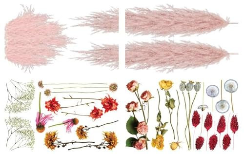 Dixie Belle Transfer | Pampa rosa e venti secchi | Foglio 61 x 96,5 cm | Trasferimento decorativo per artigianato, mobili, fai da te | Trasferimento di progetti artigianali