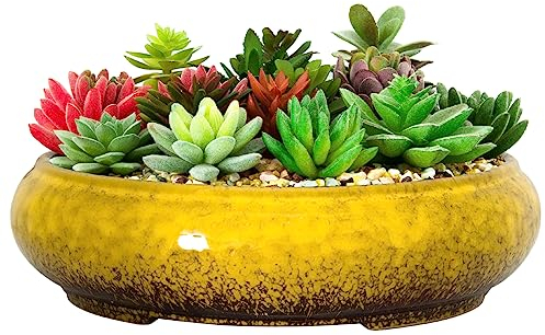 ARTKETTY Plant Pot - 29CM Large Bonsai Pot with Drainage Shallow Ceramic Succulent Plant Pot Indoor/Outdoor, Glazed Cactus Flower Plant Container Bowl for Home Garden Decor