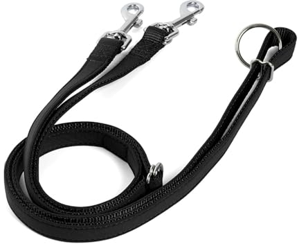 Double-Ended Dog Leash,2m/6.5ft Double Dog Coupler Lead Waist Shoulder Crossbody 360°Swivel for Small Medium Large Dog Walking Jogging Running