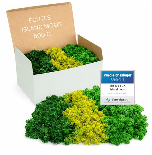 Mia Milano Islandmoos Grön Mix konserverad | Mossa till dekoration och pyssel | 500 g äkta isländsk dekorationsmossa för mossbilder | Levande mossvägg
