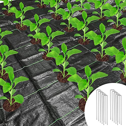 2 x 4 m Unkrautschutzmembran mit Löchern, Unkrautbarriere, Landschaftsgewebe mit Pflanzlöchern, Gartenbodenmembranmatten mit 10 Stahlheringen