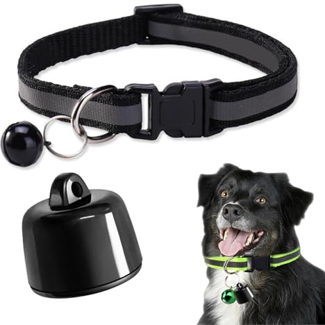 Générique Collier Traceur GPS pour Chat & Chien — Mini GPS Intelligent Étanche P23 — Suivi Mondial sans Abonnement — Compatible iOS Android — pour Tout Collier — Localisation Anti-Perdition (B)