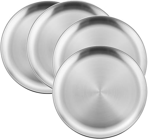 Tonsitian 4Pcs Stainless Steel Dinner Plates, 20cm Round Stainless Steel Lightweight Dishes Plates Set for BBQ Picnics Party Camping Dishwasher Safe and Healthy
