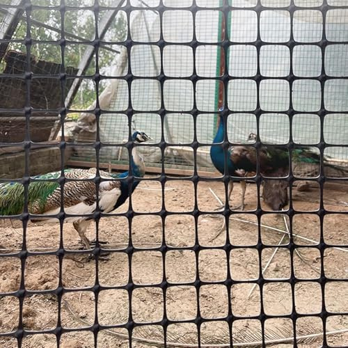SSDDLZEQ Valla Cuadrada de Malla de Pavo Real, Valla de plástico Ligera y Segura for jardín, gallinas, Conejos y Patios, for Nieve y Mascotas(1.5x50m/5x164ft)