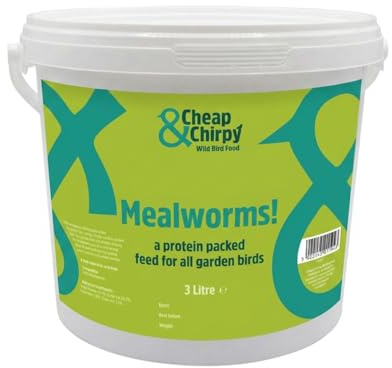 Cheap & Chirpy Dried Mealworms for Wild Birds - 3 Litre Tub - Bird Worms & Treats - Duck & Swan Food (packaging may vary)