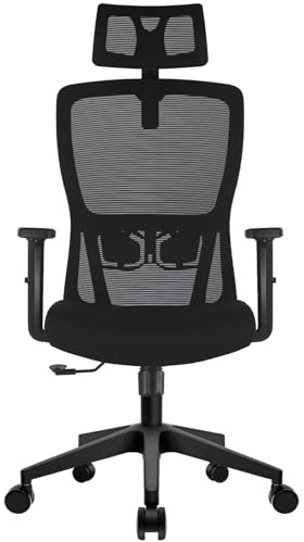 Durrafy Office Chair, Desk Chair with Adjustable Headrest, Lumbar support and Liftable Armrest, High Back Ergonomic Office Chair, Breathable Mesh Backrest for Comfy, Computer Chair for Home/Office