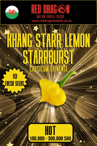 Khang Starr Lemon Starrburst Chilli Seeds - 10 Fresh Khang Starr Lemon Starrburst Chilli Seeds