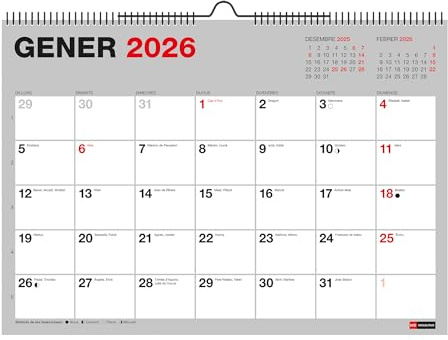 Miquelrius - Calendario 2026 de pared Basic, Organizador anual A4: 296 x 210 mm, Con espacio para anotar, Encuadernación espiral doble, Planificador 12 meses, Catalán