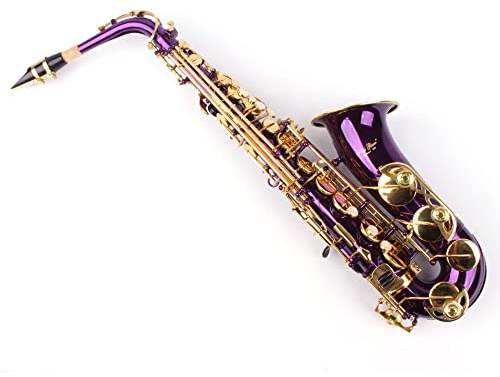 Karl Glaser Saxophone Alto, Violet/doré, avec étui