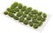 HAOBIN Modellbau Gras Modellbau ZubehöR Gras GrasbüSchel Modellbau Grasmatte Modellbau Miniatur Deko Modellbau Rasen Tabletop GeläNde Verwende FüR DIY Eisenbahn Zug Landschaft Kunstrasen Modellier