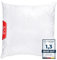EVE Textile® Kopfkissen 80x80 cm ergonomisches Steppkissen Allergiker Kissen, waschbar, Atmungsaktiv, Öko-Tex 100, Schlafkissen Bettkissen mit Reißverschluss, Pillow Schlaf- & Dekokissen