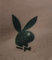 5x Tatouages Temporaires Éphémères Decalcomanie Lapin Play Boy, Lot de 5 Tatoo, Pour Homme et Femme, 3,5 cm x 5 cm Tattoo Original Cpoquin Tatouage Sexy - Hypoallergenique - Semi Permanents