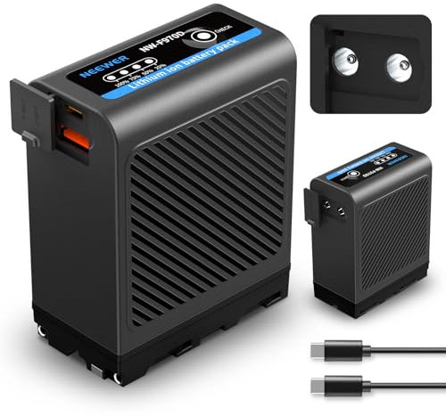 NEEWER NP-F970 10500mAh Batterie de Rechange avec USB C USB A & 2 Ports DC, Charge Rapide 30W PD, Charge Complète 4H, Batterie Remplace NP-F550 F750 F970 pour Caméscope Moniteur Éclairage, NW-F970D