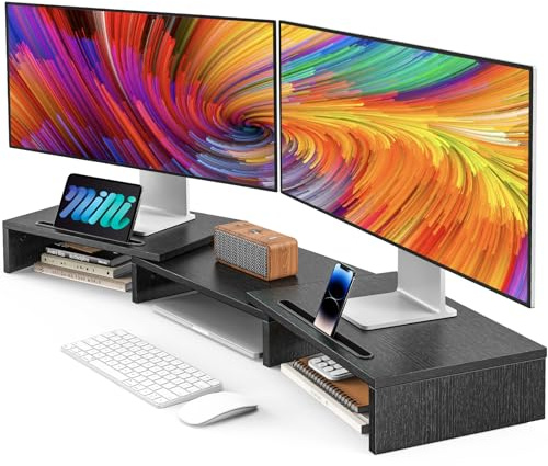 AMERIERGO Dual Monitor Stand Riser for 2 Monitors, Monitor Stand for Desk, Adjustable Computer Monitor Stand with 2 Slot, Multifunctional Desktop Organizer Stand for PC, Computer, Printer