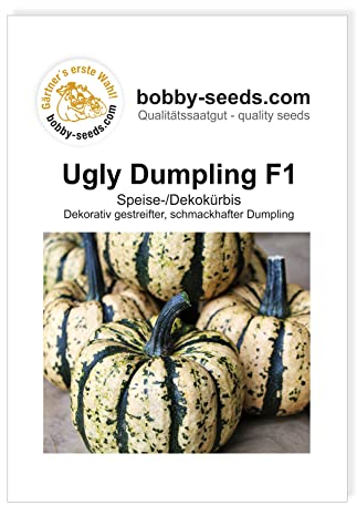 Kürbissamen Ugly Dumpling F1 Portion