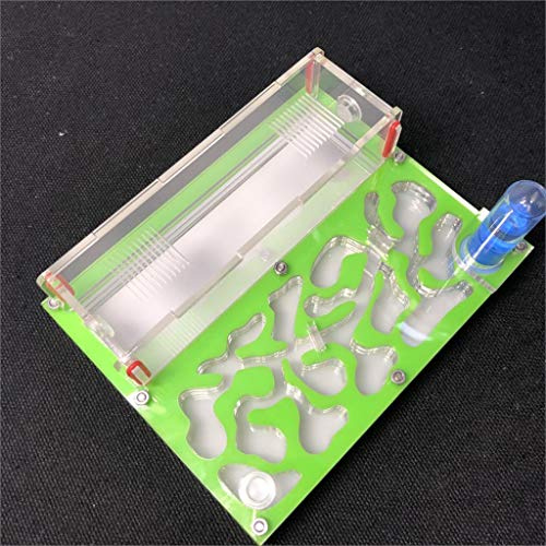 Formicarium Naturelle pour Ferme à Fourmis pour Tube à essai de Fourmis Live Humidité Grand Espace Nid de Fourmis en Acrylique, Fourmilière Insectes (Vert)