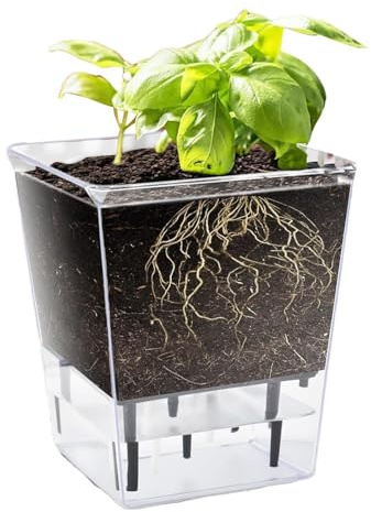 Macetas de autorriego – Maceta transparente de 5.9 pulgadas | Con de depósito de agua, maceta decorativa para interiores con agujeros de ventilación para orquídea, rosa, violeta, vainilla, uso