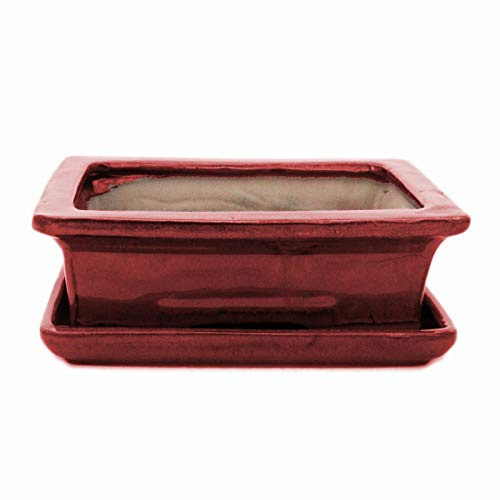 Exotenherz - Bonsai-skål med fat storlek 3 – röd – kvadrat – modell G29 – L 18 cm – B 13 cm – H 6 cm