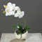 mucplants Kunstblume Orchidee Phalaenopsis in Keramikschale, Creme, ca. 25cm künstliche Orchidee mit Natural-Touch Blüten, Zimmer-, Tischdekoration