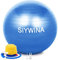 SIYWINA Gymnastikball Sitzball Dicker Anti-Burst Schwangere Yoga Pilates Ball Fitnessball mit Ball Pumpe