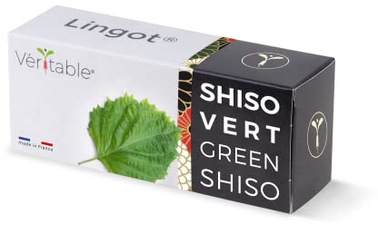 Lingot® Shiso Vert - Compatible Potager d'Intérieur Véritable® et Exky® - Recharge prête à l'emploi - Substrat avec Graines Intégrées…
