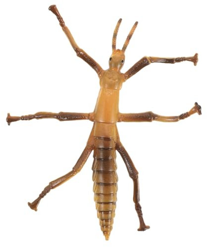 DECHOUS Echtes Insekten-modellspielzeug Für Junge Mädchen Realistische Attrappe Lernspielzeug Für Frühkindliche Bildung Kreatives Zubehör Für Partys Und Dekoration