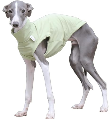 T-shirt Levriero Italiano Per Cani Di Taglia Piccola E Media, Gilet Estivo Leggero E Fresco, Vestiti Whippet, Camicie Traspiranti Per Animali Domestici, Abbigliamento Da Esterno(Green,3XL)
