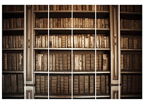 Bilderwelten Schiebegardinen Altes Archiv - 6 Flächenvorhänge Deckenhalterung 6X 250x60cm