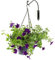 LIVIVO 12” 16” Swivel Hanging Basket Bracket - Heavy Duty Outdoor/Indoor Multipurpose Hooks - Perfect for Plants, Flower Baskets, Bird Feeders, Lanterns and Wind Chimes (12 Inch, Single)