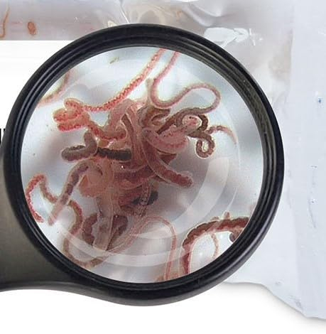 Lebendfutter Fischfutter SAHAWA 5 x 90ml Tubifex