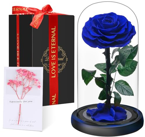 Touloube Flores Preservadas, Rosa Eterna Natural Bella y Bestia en Cúpula de Cristal, Regalo de Día de la Madre Mamá, Mujer, Abuela y Novia, Ideal para Aniversario, San Valentín, Navidad
