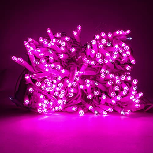 Luccika Stringa Catena di luci Natale a LED Professionale, MaxiLed da 8mm, Flash, per Giardini Negozi Bar, Esterno (Rosa con Flash Bianco Ghiaccio, 30 Metri - 300 LED)