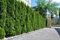 30st. Thuja Smaragd 120-140cm ohne Topf gemessen für 10m Hecke Lebensbaum Heckenpflanzen Edelthuja