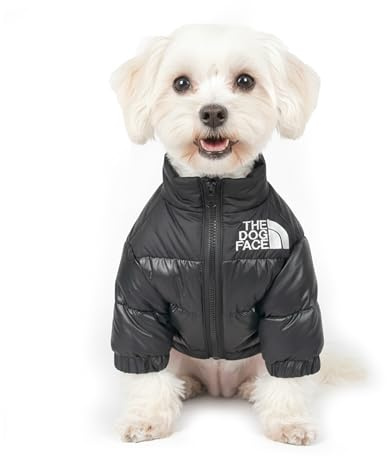 Chaqueta de Invierno para Perros, Abrigo Cortavientos con Cremallera, Chaleco Térmico en Negro, Morado y Naranja, Tallas S-XL para Mascotas Pequeñas y Medianas (Negro, XL)
