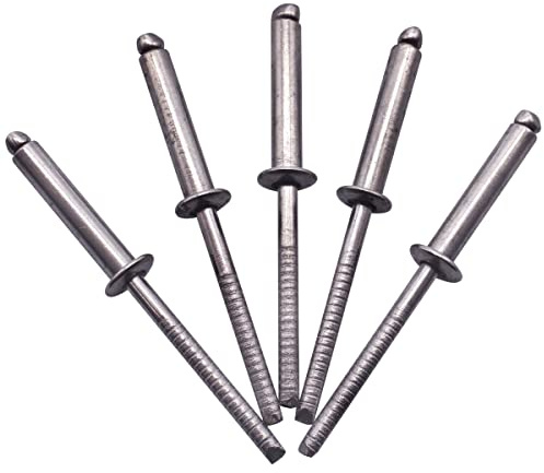 SKIR'CO (40 pezzi) Rivetti ciechi in acciaio inox 4,0 x 20 mm, testa a cupola, rivetti pop, DIN 7337, rivetto A2, mandrino scanalato
