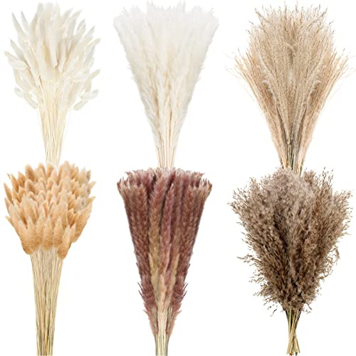 Treela 325 Pcs Dried Pampas Grass 17 Inch Bunny Tails Reed Plumes