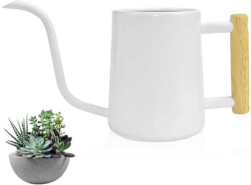 LPAMABA Annaffiatoio in Acciaio Inox Bianco 1000 ml con Beccuccio Lungo, Design Elegante con Manico in Legno, Annaffiatoio per Bonsai per Piante da Interno ed Esterni