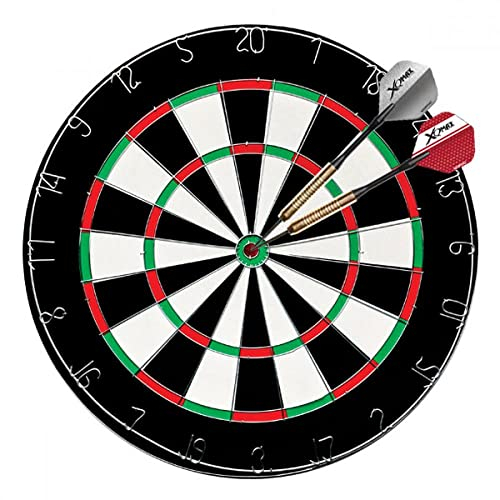 Xqmax dartscheibe + 6 sportpfeile
