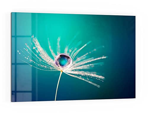 DEQORI Küchenrückwand Glas | Motiv Samen mit Wassertropfen | 60x40 cm | Bad- oder Herd-Rückwand | Herdblende Spritzschutz für Küche & Badezimmer | moderne Deko für Fliesenspiegel