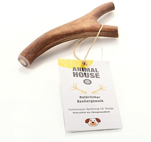 Animal House Corna di Renna per Cani, Masticativo Naturale al 100%, Rafforza Igiene Orale, Resistenti e Duraturi, Disponibili in tutte le taglie, Cruelty Free (M)