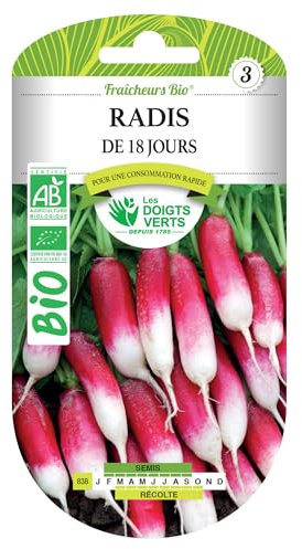 Graines de radis de 18 jours BIO Les Doigts Verts
