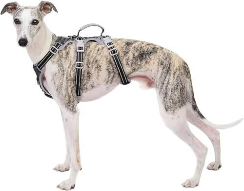 Huntboo Escape Proof Dog Harness, No Pull Reflective Harness with Lift Handle, Adjustable Pet Vest with Front and Back Leash Clips for Small Medium Large Dogs Walking Hiking Training (Black,L)