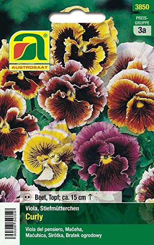 Austrosaat 3850 pensées Curly (graines de pensées)