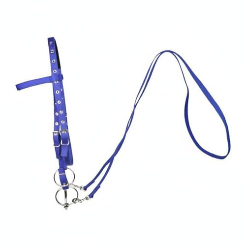 Harilla Horse Riding Bridle Bridle Reins Headstall Tack Set With Strong Materials And Stable Performance Suitable for arena schooling training countryside rides, Blue, L