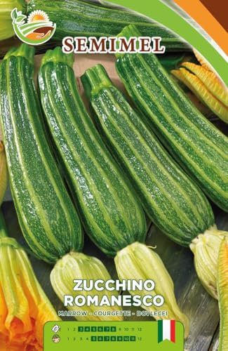 Zucchino Romanesco - Semi di Zucchino con Frutto Lungo 15-18 cm, Costolature Verdi, Fiori Grandi e Persistenti, Semina da Febbraio a Luglio 2 confezioni